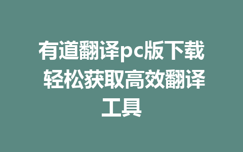 有道翻译pc版下载 轻松获取高效翻译工具