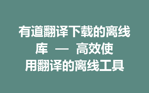 有道翻译下载的离线库  —  高效使用翻译的离线工具