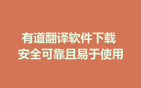 有道翻译软件下载 安全可靠且易于使用