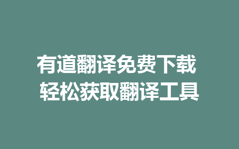 有道翻译免费下载 轻松获取翻译工具