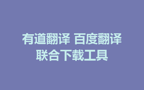 有道翻译 百度翻译联合下载工具