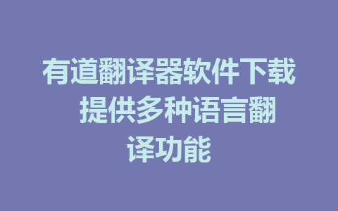 有道翻译器软件下载  提供多种语言翻译功能